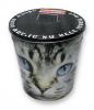 Black cat tin bucket round