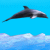 Dolphin (397.71 KiB)