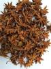 Common spices star anise (illicium verum) can used as a spice and as medicine,for pork and chicken