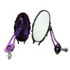 Electric vehicle rear view mirrors