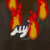 James the Circus Zebra - Ring of Fire (869.75 KiB)