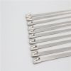 Stainless steel cable ties