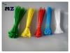 Nylon cable tie/cable ties