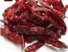 Er jing tiao dried pepper is used in in hot pot and dry pot,sichuan cuisine as a seasoning